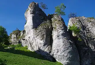 Studnisko i Szafa od wschodu