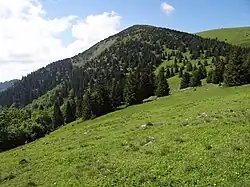 Suchý vrch od północy