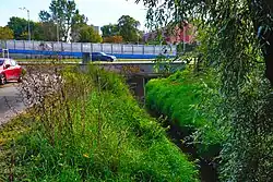 Bieg Sudołu Dominikańskiego w rejonie ul. Olszeckiej na Prądniku Czerwonym i wlot do kolektora, którym potok pokonuje obszar Olszy do ujścia do Białuchy