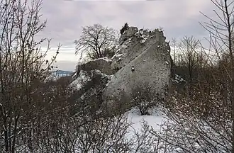 Pozostałości Strażnicy Suliszowice