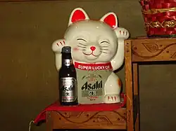 Kot super szczęścia