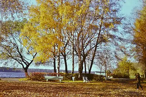 nabrzeże przy I L.O. (lata 70/80. XX w.)