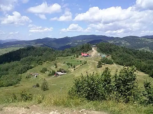 Widok z Szafranówki na przełęcz Maćkówki i Palenicę