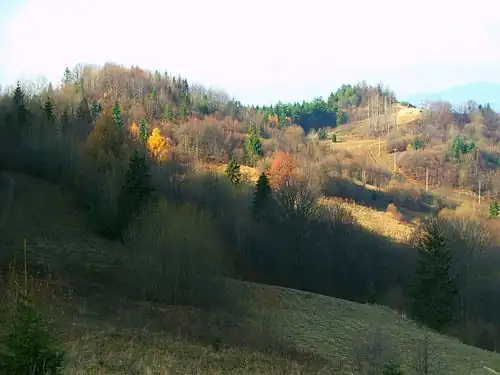 Witkula i Szafranówka (z prawej strony)