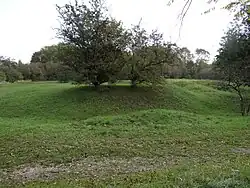 Pozostałości szańca