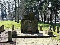 Macewy w lapidarium dawnego cmentarza żydowskiego w Szczecinie