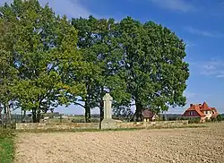 Widok ogólny z południa