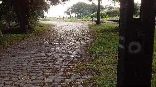 Klasyczny znak końca szlaku pieszego - zielone koło w białym obwodzie - oraz zielony pas pośrodku dwóch białych wymalowane na betonowym słupie wysokiego napięcia wskazują na kierunek szlaku. Wyłożona kamieniami droga prowadzi wzdłuż toru kolejowego.