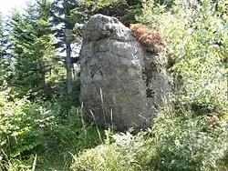 Skałki na grzbiecie Smrekowicy