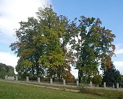 Widok od strony zach.