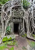 Ta Prohm oraz drzewo Banyan