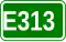 E313