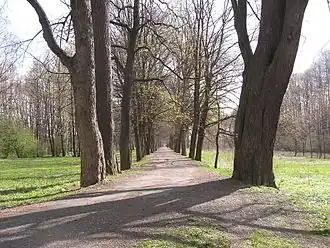 Aleja książęca do Tachova