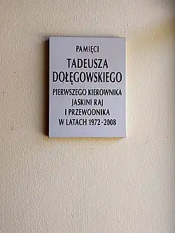 Tablica upamiętniająca Tadeusza Dołęgowskiego przy wejściu do Jaskini Raj