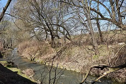 Wątok w Tarnowie przy ul. Tuchowskiej