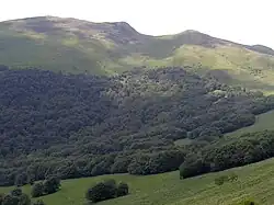 Widok ze szlaku na Halicz