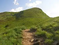 Widok ze szlaku na Przełęcz Goprowców