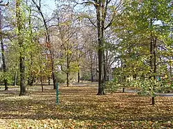 Zdjęcie z 2013 roku. Prezentuje ono planty jesienią. Widać na nim drzewa z różnokolorowymi liśćmi oraz leżące na ziemi suche liście. Na środku zdjęcia można ujrzeć również zieloną pompę wodną, a w tle ogrodzenie i kilka budynków.