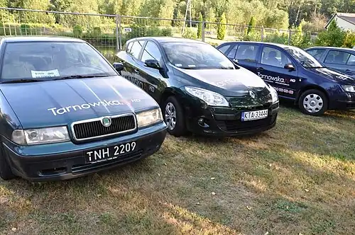 Flota samochodów (2013)