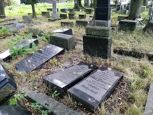 Wywrócone nagrobki członków rodziny Panofsky z&nbsp;1908 i&nbsp;1910 roku