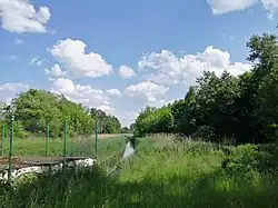 Rzeka Stoła wpływająca do podziemnego kolektora pod parkiem (zdj. 2021)