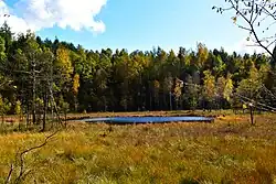 Torfowisko na Tatarskiej Górze