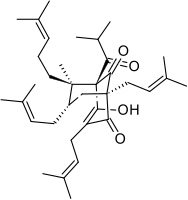 Tetrahydrohiperforyna