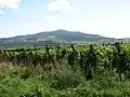 Góra Tokaj, widok z Bodrogkeresztúr