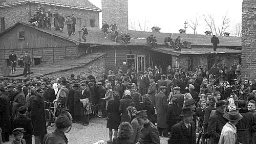 Auschwitz. Tłum oczekujący na egzekucję (15 kwietnia 1947)