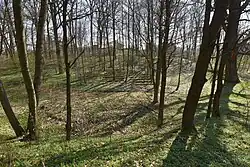 Zespół dworski-park