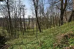 Pozostałości parku