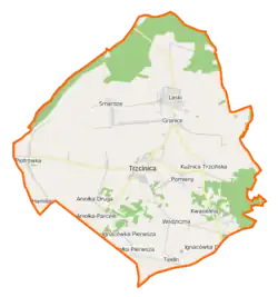 Plan gminy Trzcinica