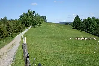 Niższy wierzchołek zachodni