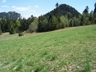 Widok na Trzy Korony i Nową Górę