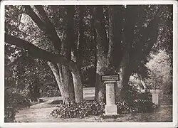 Lipowa altana Adama Mickiewicza