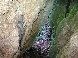 Widok z otworu dolnego