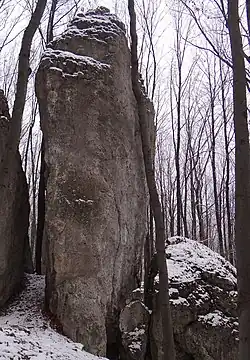 Turnia nad Parasolem