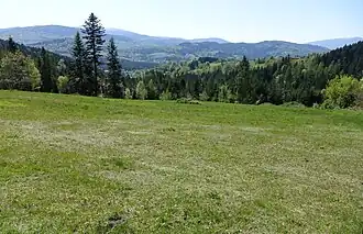 Widok z polany pod Uboczą na południowy wschód