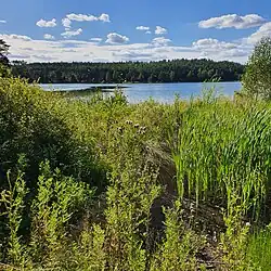 Ujście Wdy z jez. Krążno