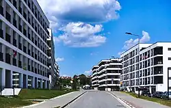 Ulica Andrzeja Zauchy