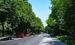 Widok ulicy na wysokości osiedla Willowego w kierunku północnym