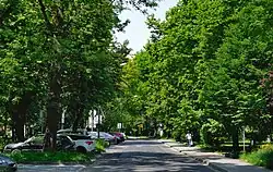 Ulica Francesco Nullo