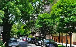 Ulica Kronikarza Galla