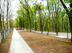 Ulica Przybyszewskiego w Toruniu po remoncie, kwiecień 2020 rok