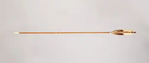 Strzała przeznaczona do miotania z łuku