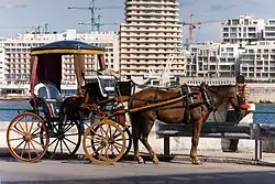 Dorożka konna Karozzin