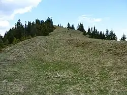 Grzbiet Skalnej Alpy