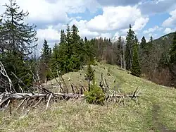 Grzbiet Skalnej Alpy