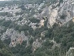 Gravina