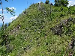 Widok na szczyt od zachodniej strony